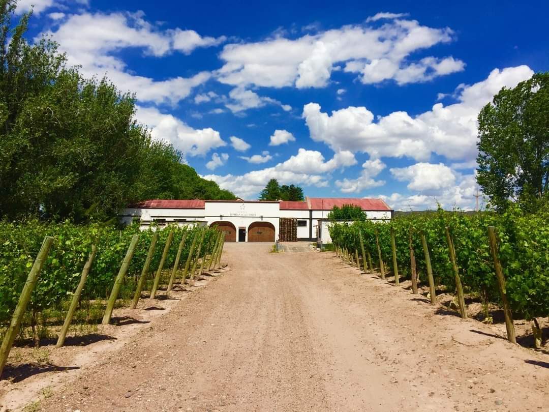 Bodega histórica con enoturismo en Luján de Cuyo