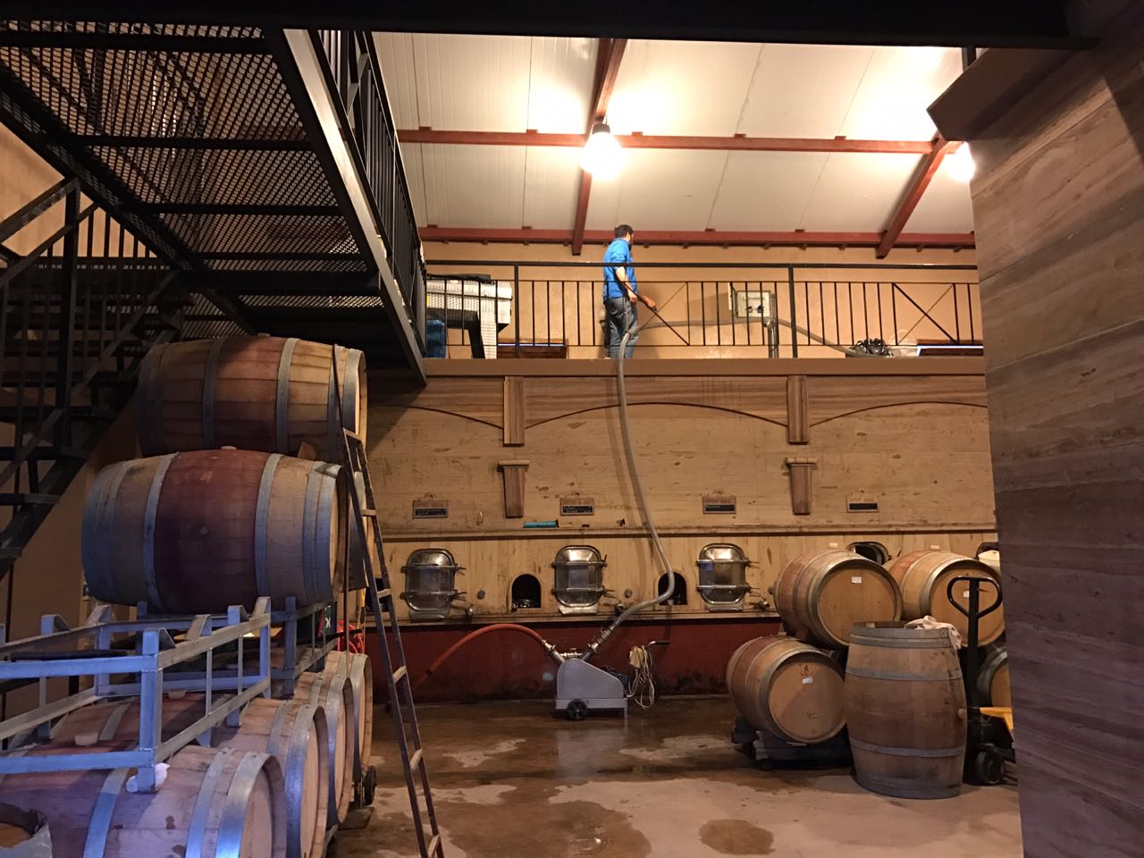 Bodega Pedriel