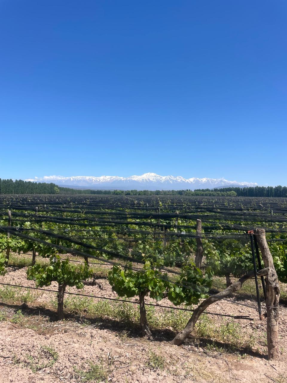 Finca Agrelo