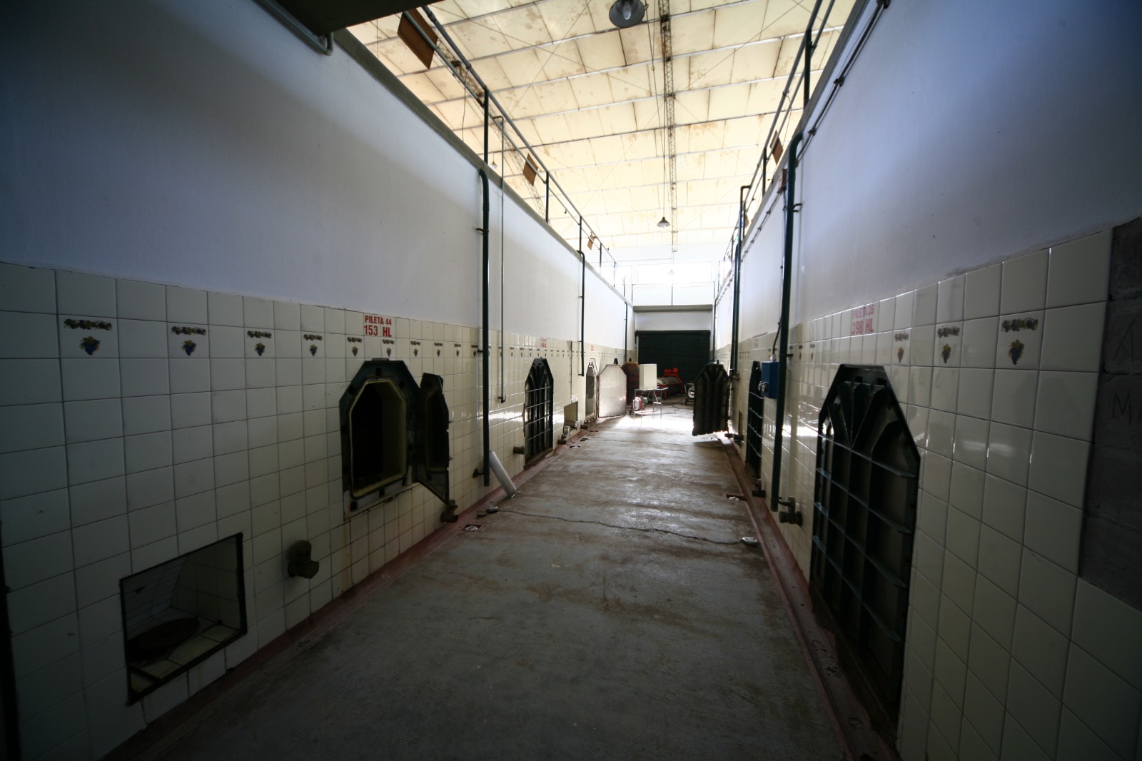 Bodega Agrelo